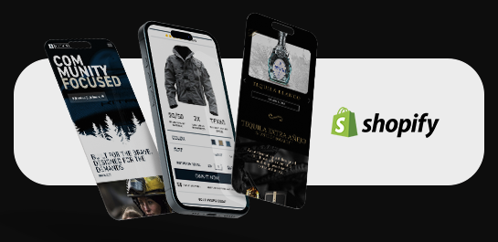 Website development service